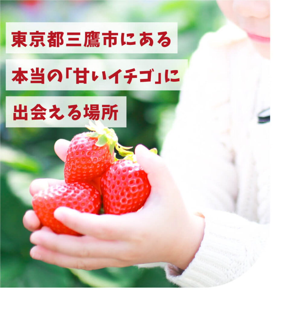 東京都三鷹市にある本当の「甘いイチゴ」に出会える場所