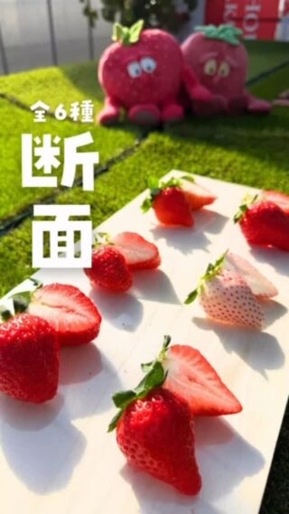 開園情報 | ICHIGO HOUSE.みたか